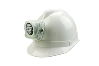 Combination Wisdom Wiselite2 w/USB Cable MSHA Approved Hard Hat Light & NWB-30 AC Charger