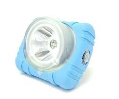 Wisdom Silicone Protective Case